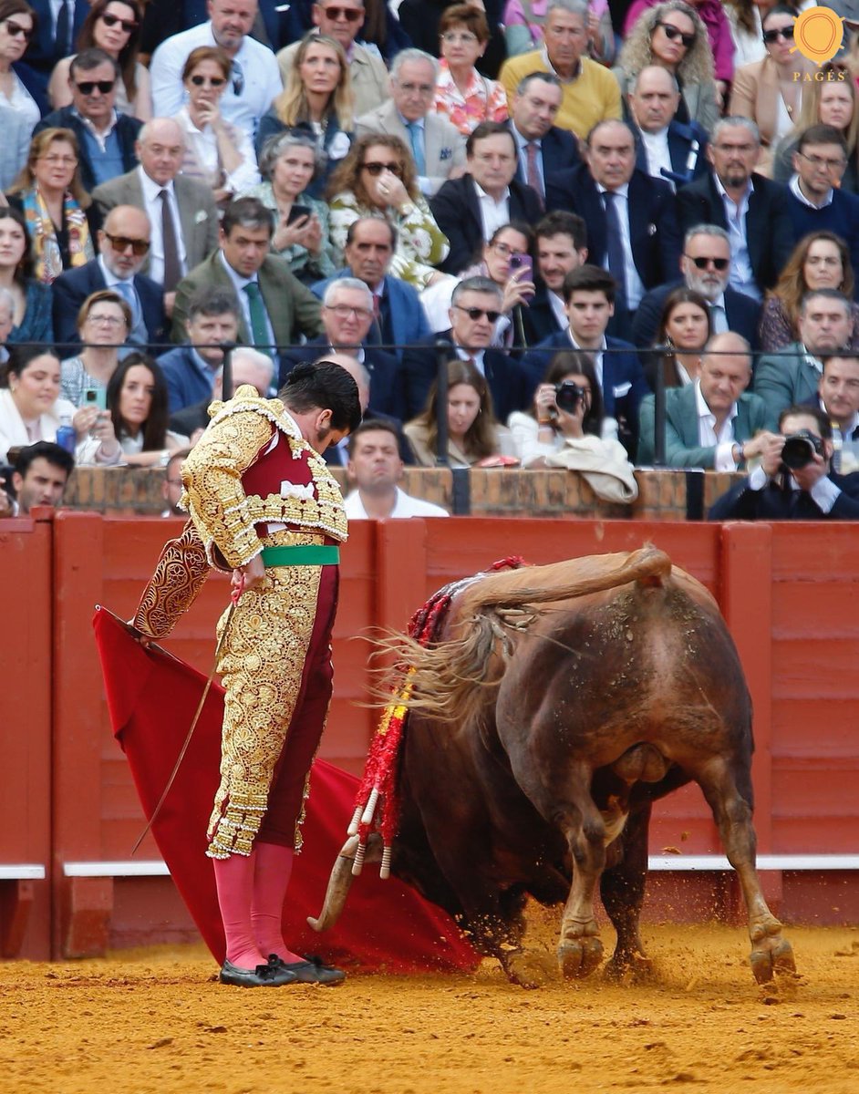 Tercio de Quites tweet media