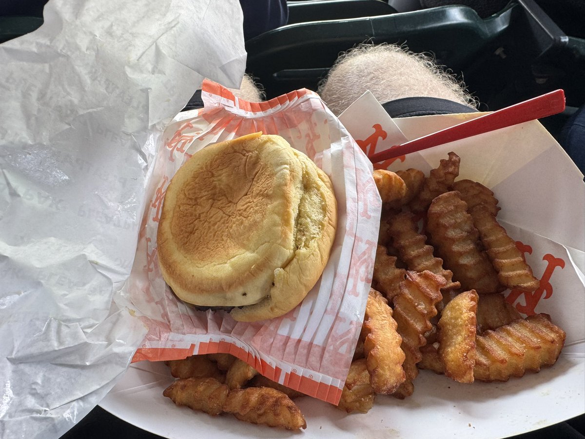 weinfeld_cory's tweet photo. @CitiField this is the saddest excuse for a burger Ive ever seen https://t.co/1oquxwXdRa