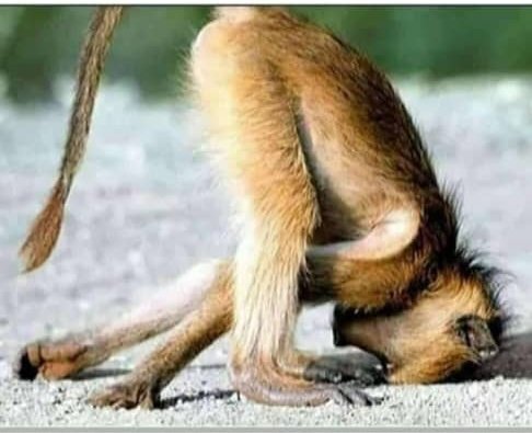 Colegerry01's tweet photo. @iGerald_05 @eng_lui_tme please bro stop it 🤦 https://t.co/qbyR1kVmaM