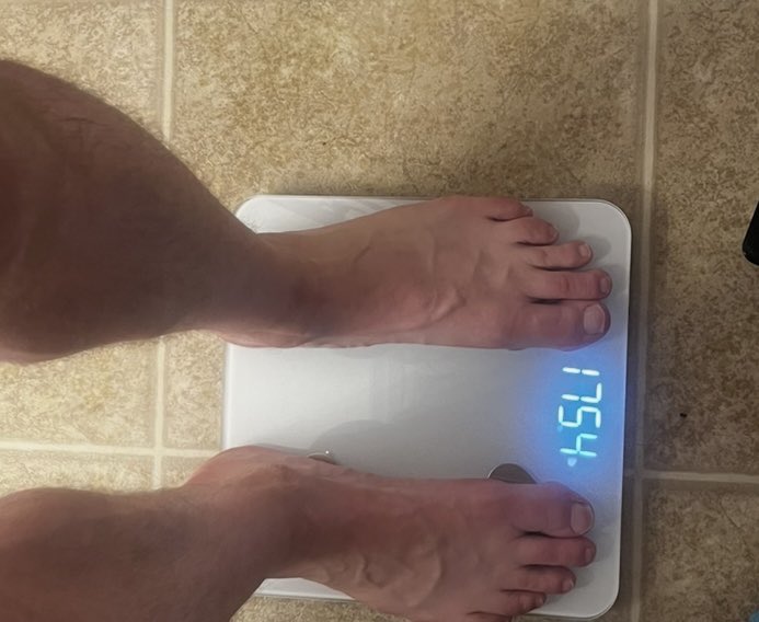 William Payne tweet media