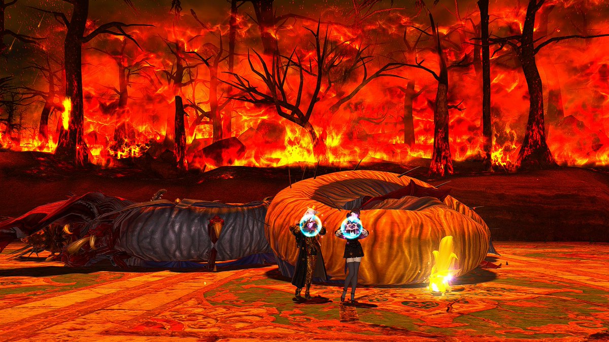 Sora tweet media
