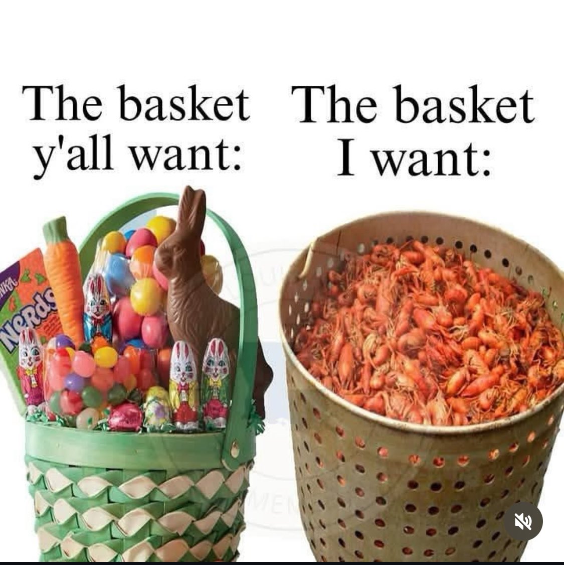 mackidnewiberia's tweet photo. Happy Easter! 🐣🐰 https://t.co/ZNDtxGX1Wd
