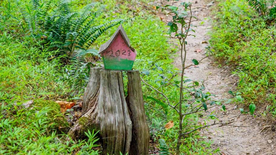 Get ready to be creative! On May 2 at Annie Louise Wilkerson Nature Preserve we'll decorate homes for the charming woodland residents. Together, we'll bring magic to the Preserve and also your own backyard too!

Click here to get the details! bit.ly/4jtFmod