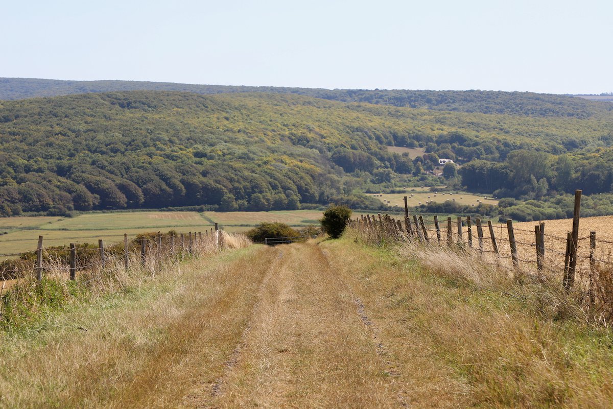 fameproofficial's tweet photo. Looking for the perfect rural backdrop for your next #summer shoot?  🌾 📸

This farm offers views over Cuckmere River and surrounding wetlands, it's tailor-made for stunning visuals. 

Get in touch with our lovely team to learn more!📍 https://t.co/Sqbnr5fing