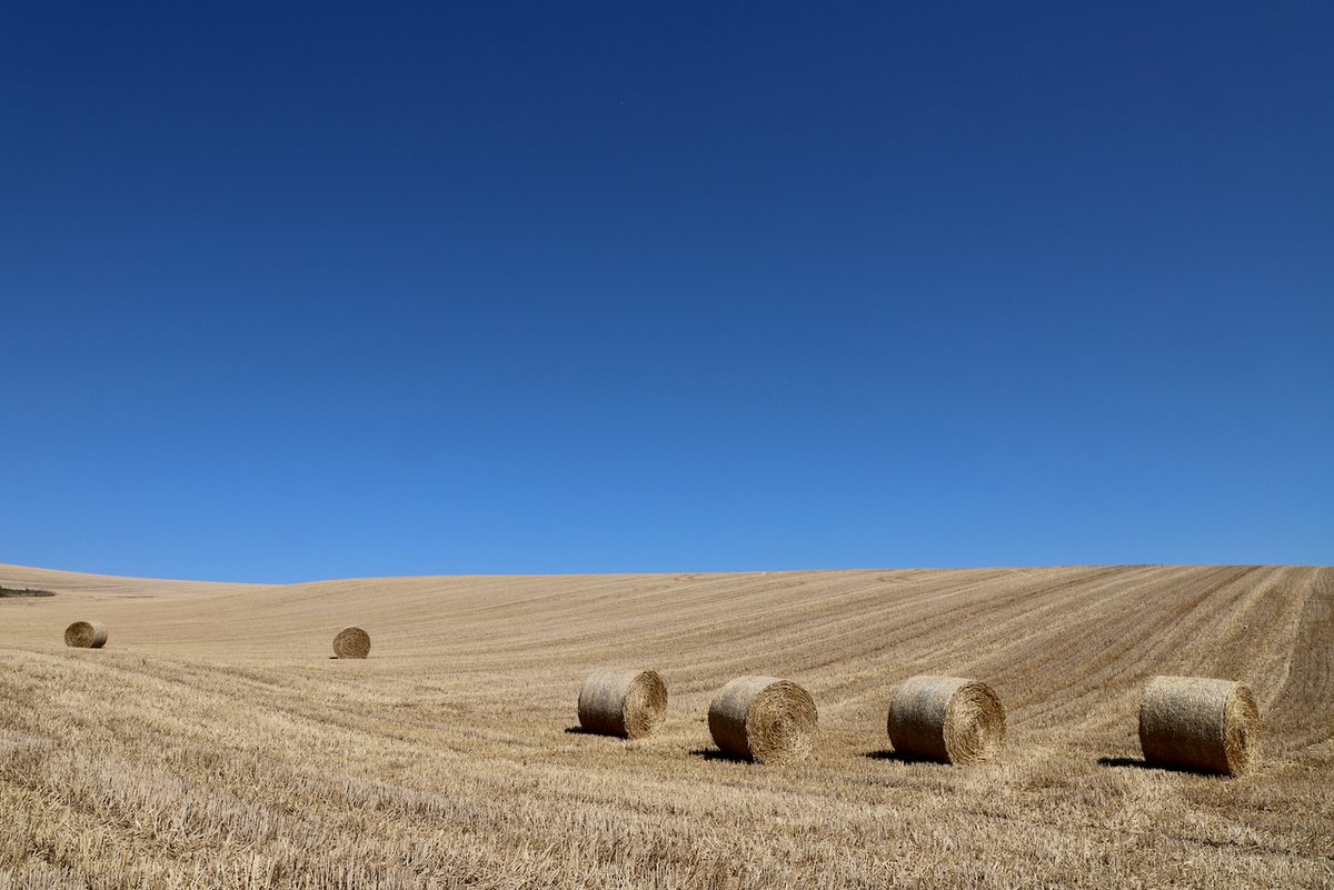 fameproofficial's tweet photo. Looking for the perfect rural backdrop for your next #summer shoot?  🌾 📸

This farm offers views over Cuckmere River and surrounding wetlands, it's tailor-made for stunning visuals. 

Get in touch with our lovely team to learn more!📍 https://t.co/Sqbnr5fing