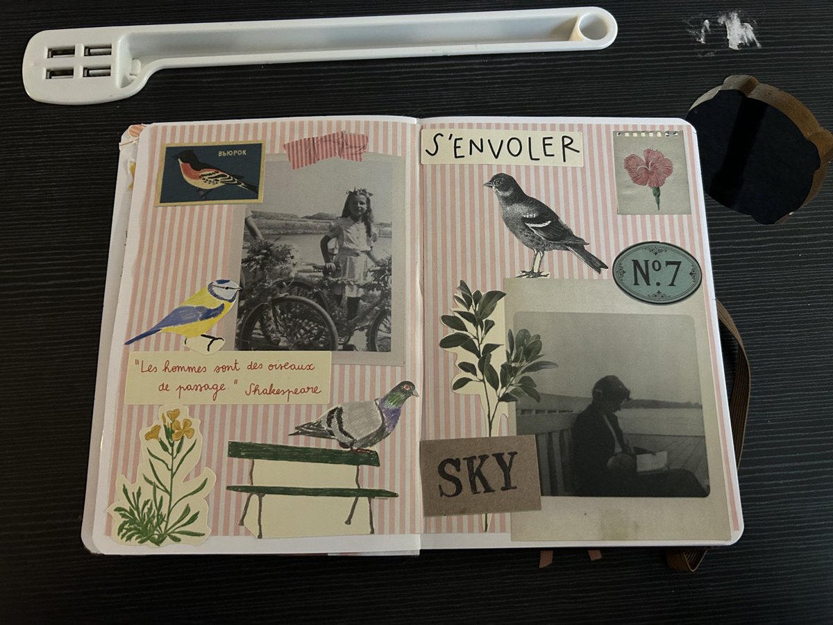 minininon's tweet photo. #nononjournal collage en collaboration avec Charlène 🕺🏻 on a utilisé du papier sosterne grene pour le fond et les stickers du livre Le Bazar par Zoe de las Cases https://t.co/xaWb7O5OKH