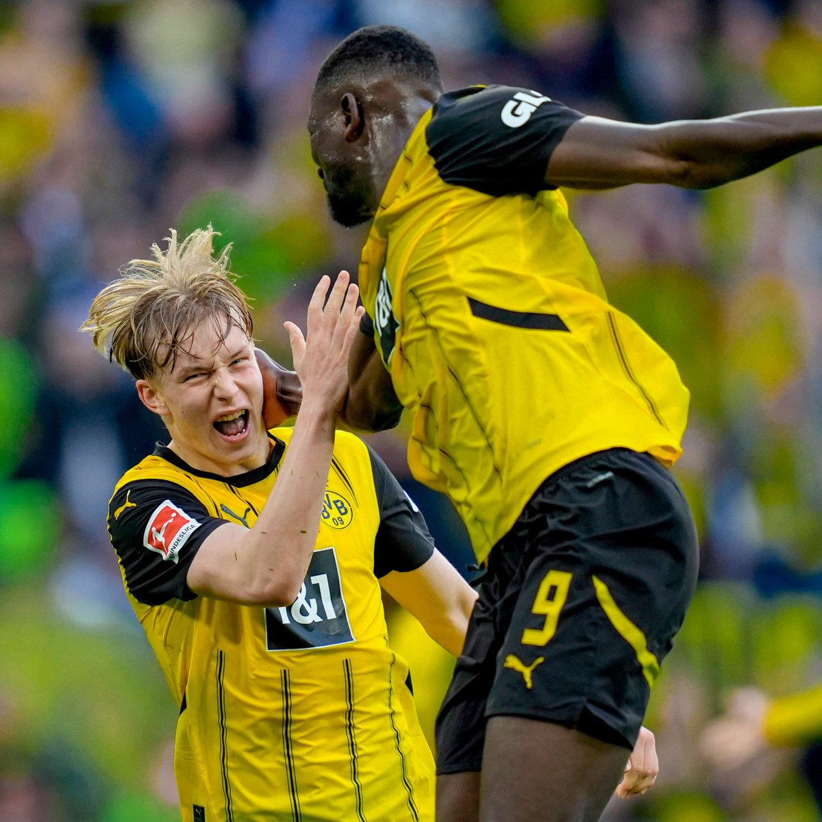 BVB's tweet photo. Jawoll, Junge! 🇸🇪💎 https://t.co/K1a7XHF9kF