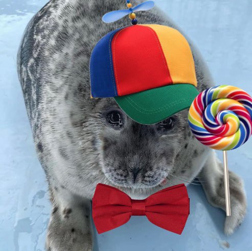 just_rubyyy's tweet photo. these are my two contributions to sealtwt culture https://t.co/WZCayCBxVb