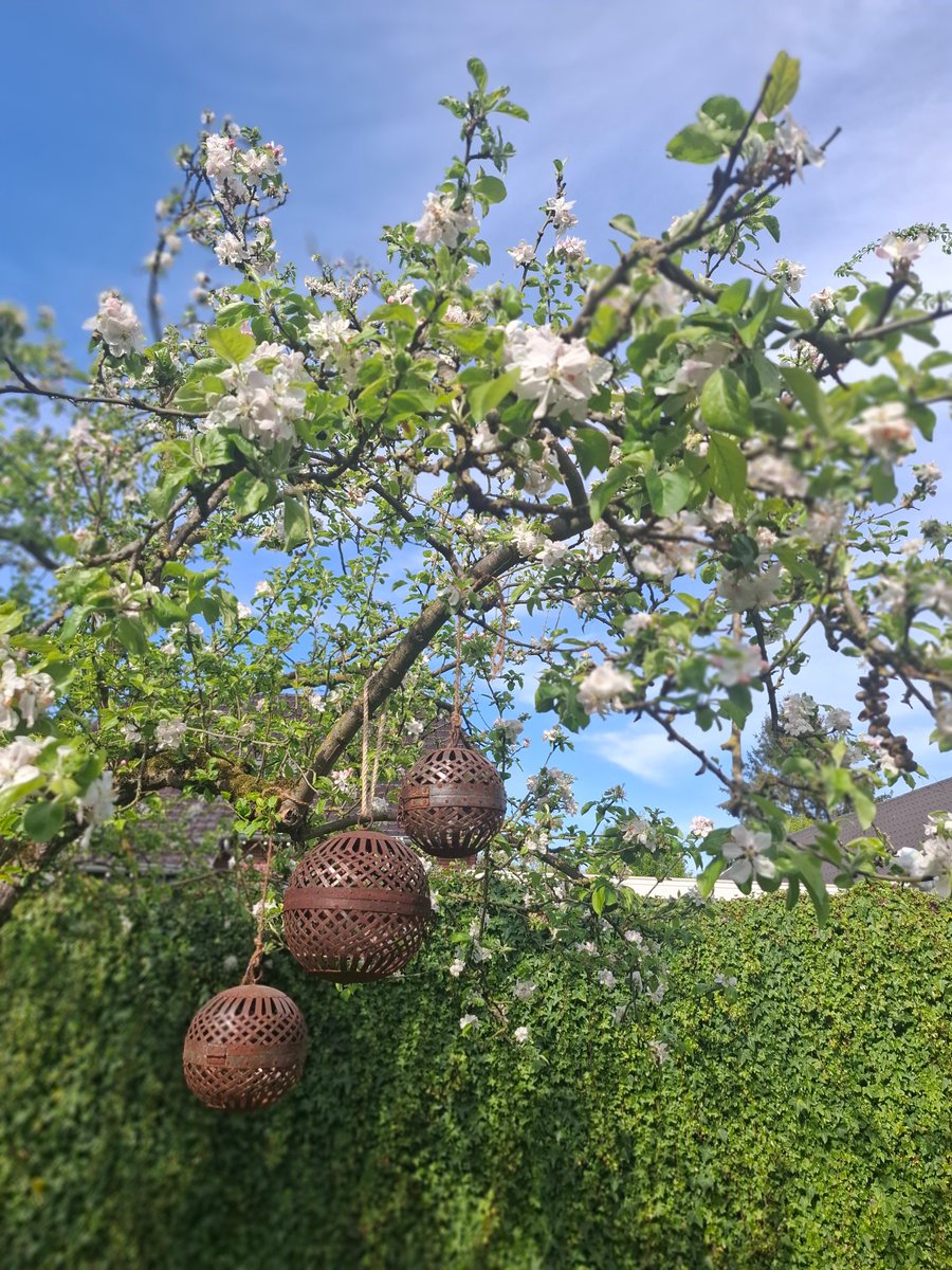 Hope you all been having a lovely Easter!