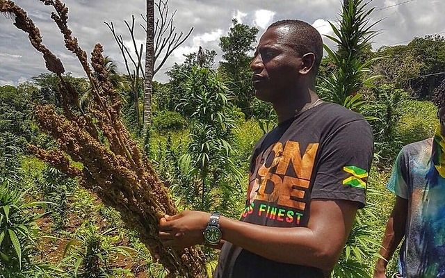 420: From Secret Code to Global Phenomenon – Smart Hacks 4 Modern Shacks hacks4shacks.ca/2024/08/18/420…