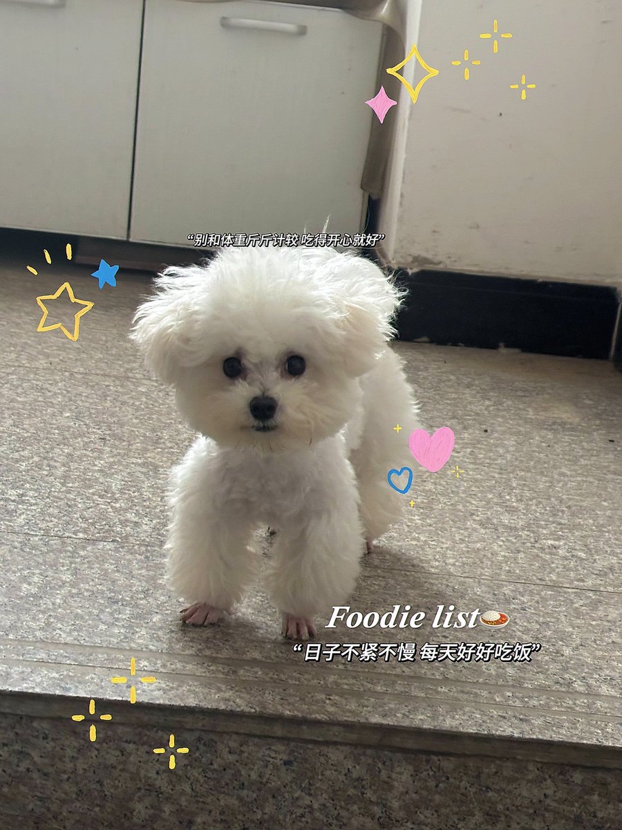 jujucccc0900's tweet photo. 我的天使小狗🐶 https://t.co/y05KZhHSY7