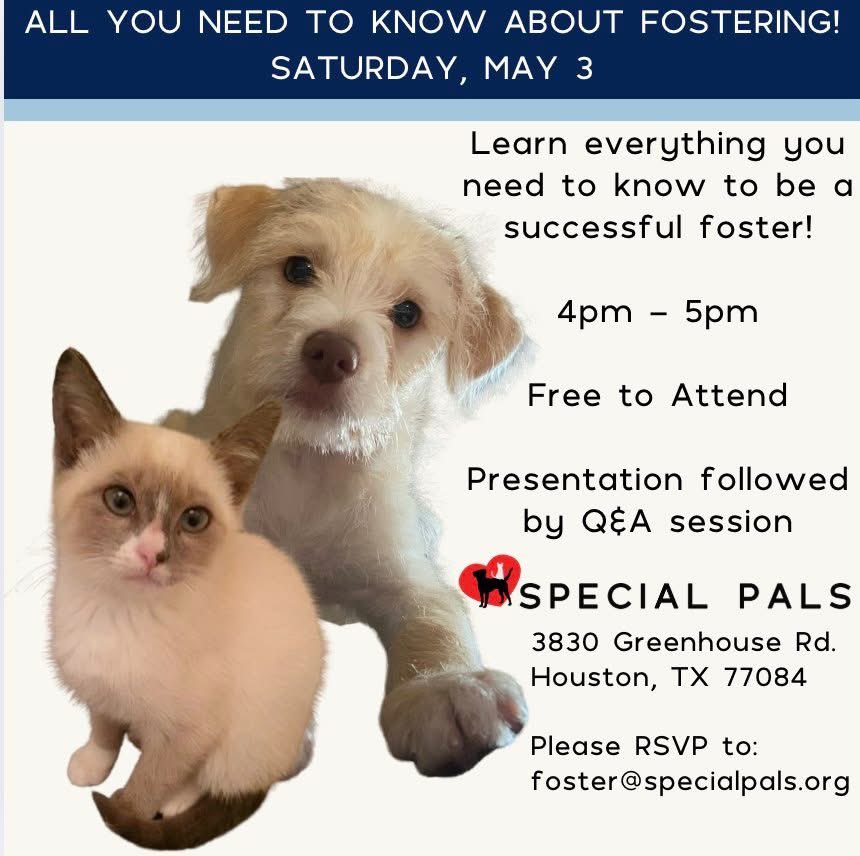 Wanna save lives while getting all the cuddles? Fostering is amazing &amp; we even supply the food. You pick the animal that suits you and your lifestyle!