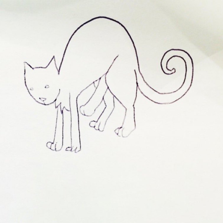 CatDongOfficial's tweet photo. CatDong is trending now on finder and cherry 
$DONG https://t.co/jI1KUkTzYI