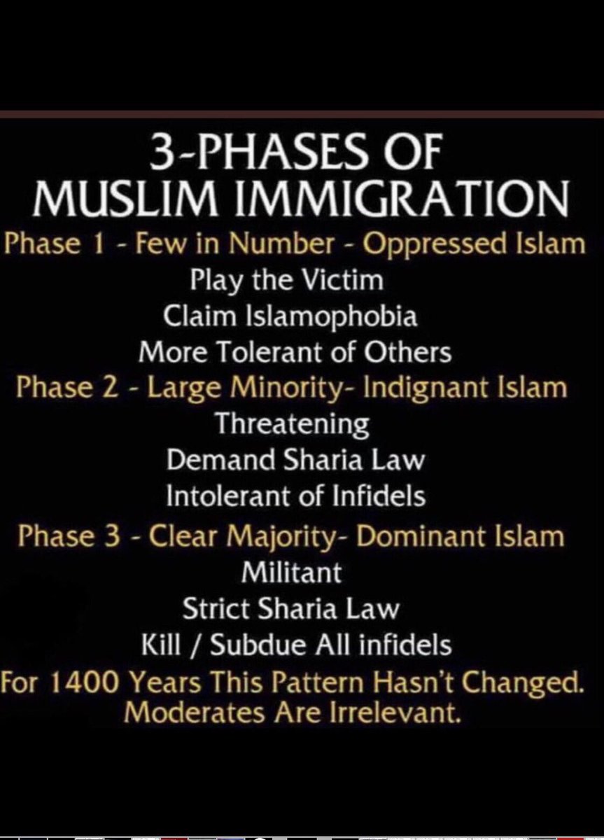 DeadJoe6's tweet photo. The Muslim occupation plan are multi-phased.

Phase 1: is when Muslims are less than 2% of the population. They act friendly and align with other minorities like LGBT. Progressive left, accepting others. They will ask for more multiculturalism.

Phase 2: Muslims become 5% -10% of the population. Now they start being aggressive, preaching to others, and establish their influence such as demanding halal food, praying in public. Establish sharia courts, converted churches to mosques, etc. Vote as block to control politicians. They will use democracy and alliance with the left to prevent you from criticizing them. Terms like Islamophobia. They ensure there is censorship in place disguised as political correctness. They call you kafir and infidel. They don’t hide their motivation to govern the country under sharia law.

Phase 3: Muslim population 10%-20%. This is when they start rioting. No-go zones established. Violence. Threatening to use jihad. [Unalive] other minorities. [Unalive] politicians who stand in their way. A gradual process of Islamization will take place - Churches, Synagogues, and Temples will be demolished or converted into Mosques. Prove dominance.

Phase 4: Muslim population exceeds 50%. They will remove all of the Secular and Western values of freedom and democracy and replace them with Sharia Law. The constitution will change using democracy and voting. Names of cities and places will be Islamic. The flag will change. This is when the "ethnic cleansing" (genocide) of the followers of other religions starts. Forced conversion to Islam, destruction of other religions. Treat all other non-Muslims as dhemmi. Jaziya is paid.

Poor indigenous people will not know what hit them.