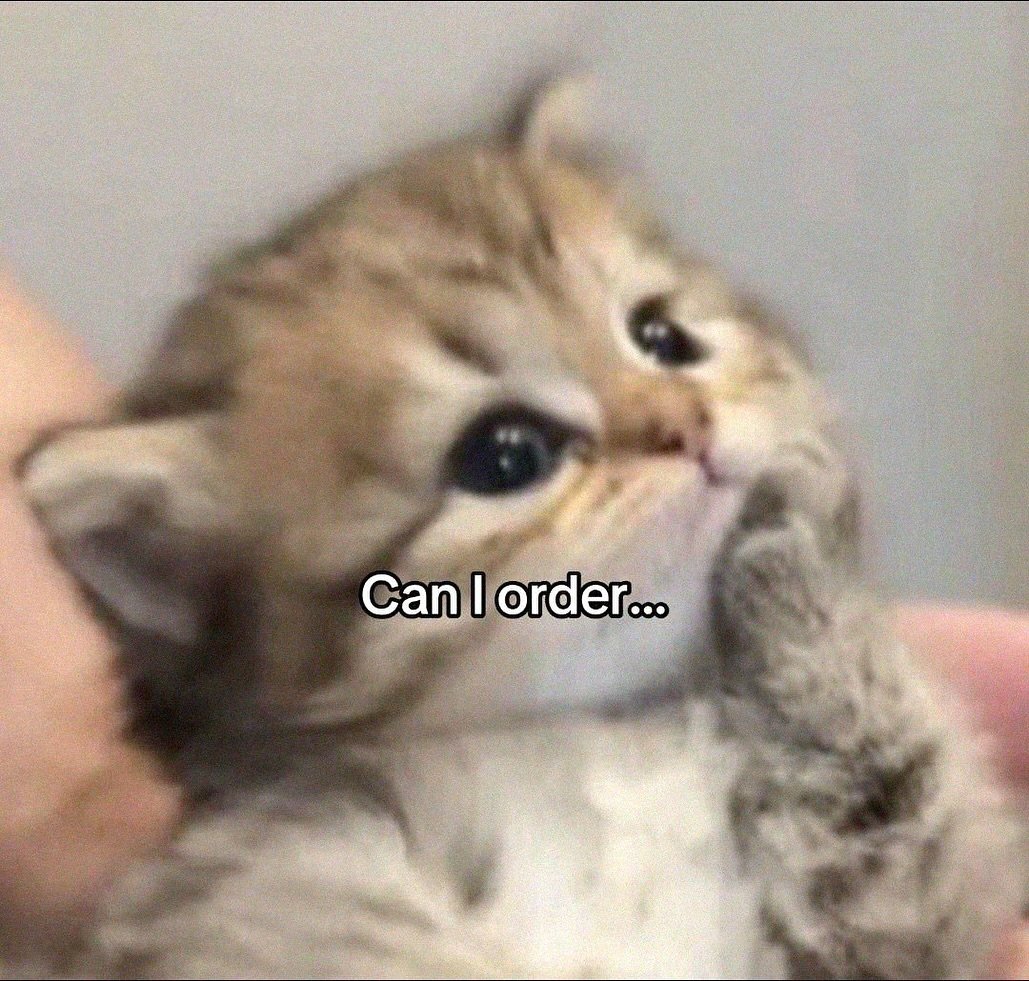 Catsillyness's tweet image. Can i order...
uhhh...