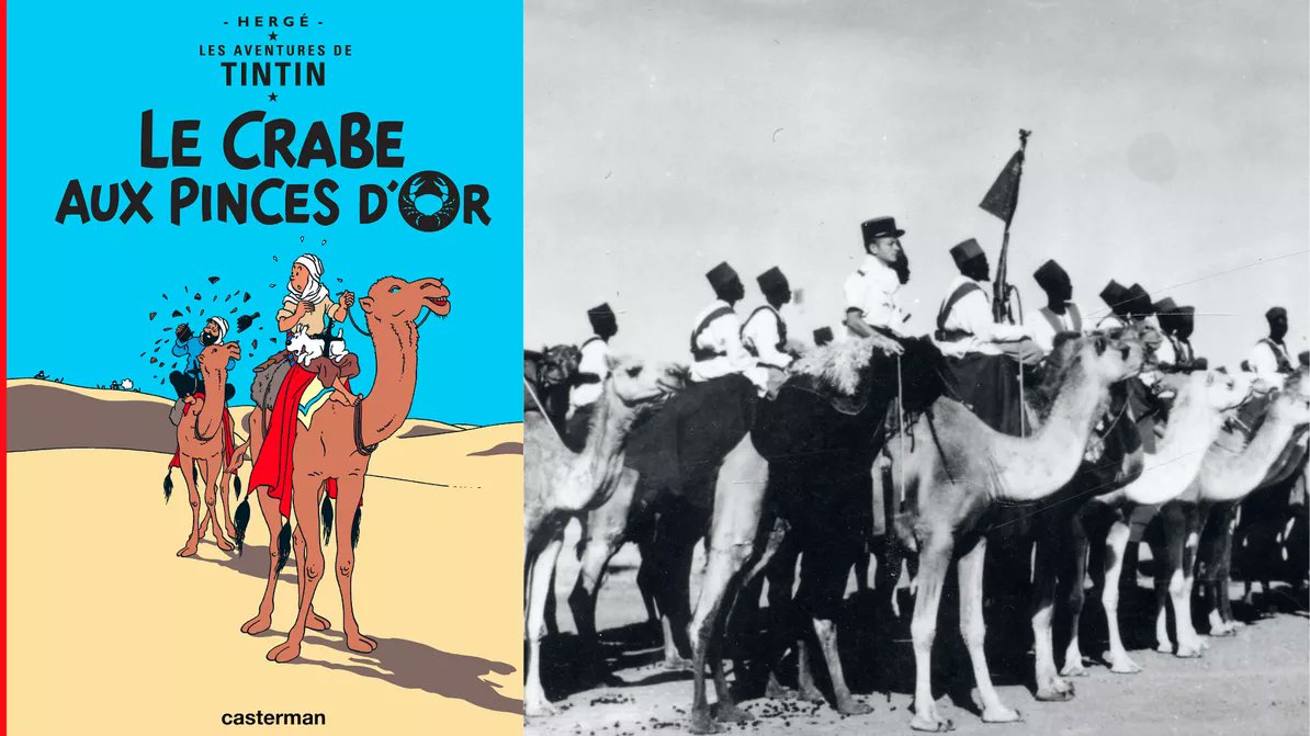 Olivier Delcroix tweet media