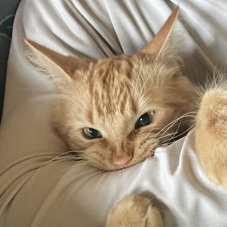 • dee • tweet media