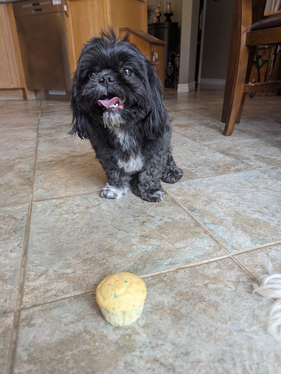 MeganFedrigo's tweet photo. Part 28 in honour of Charlie's 6th birthday ♥️ https://t.co/zzan3FNtuP