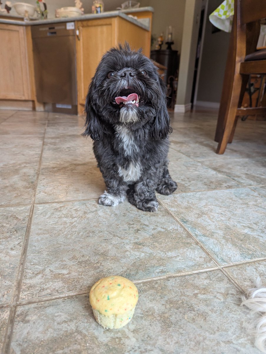MeganFedrigo's tweet photo. Part 28 in honour of Charlie's 6th birthday ♥️ https://t.co/zzan3FNtuP