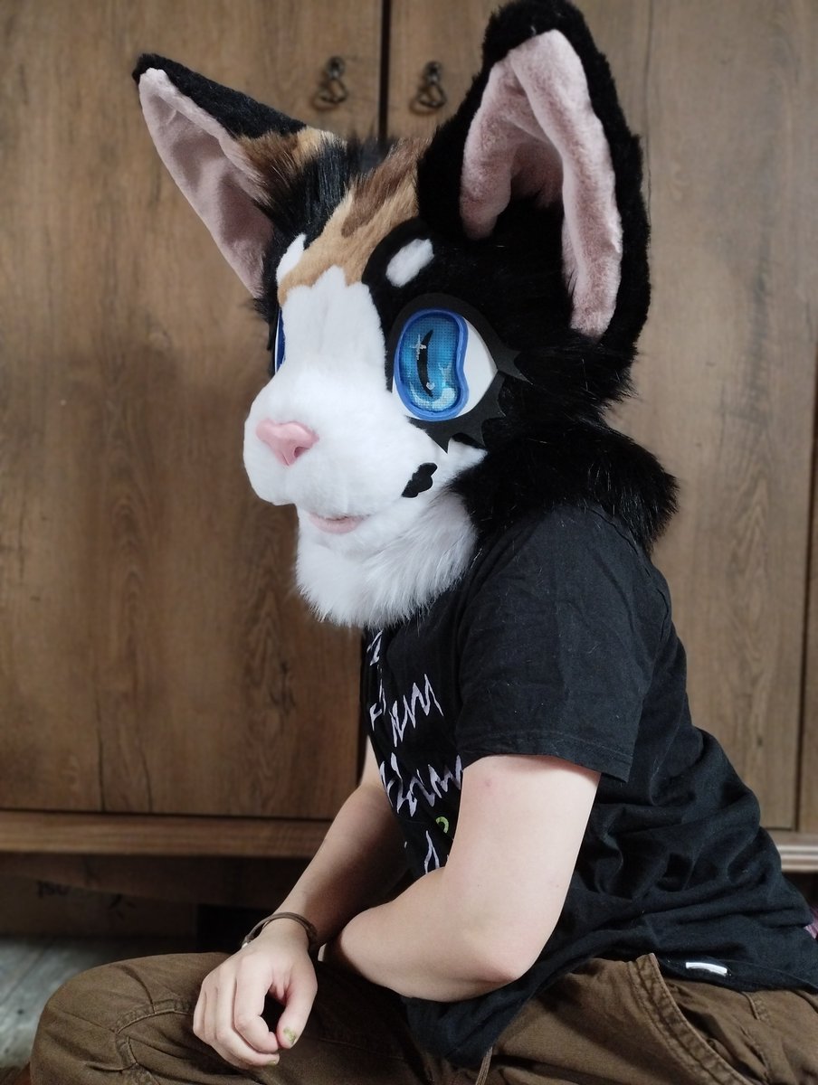 RydzMaxForteB6's tweet photo. My newest suits, made specifinally to sell in my country (Poland). Most people here are not able to afford a 1k+ suit with no payment plans, so I'm making some more affortable ones for my fellow Poles.
Suits for international sale comming soon (tiger, griffin, spaniel, cat) https://t.co/MYeAbZhY4E