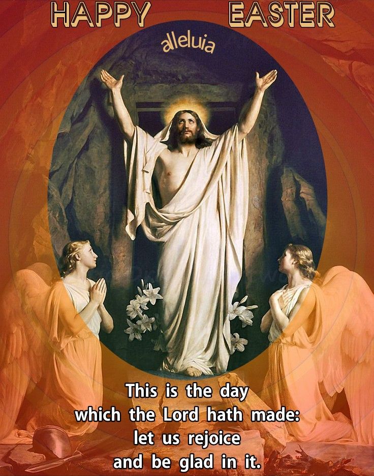 Andrea_tcft74's tweet image. 