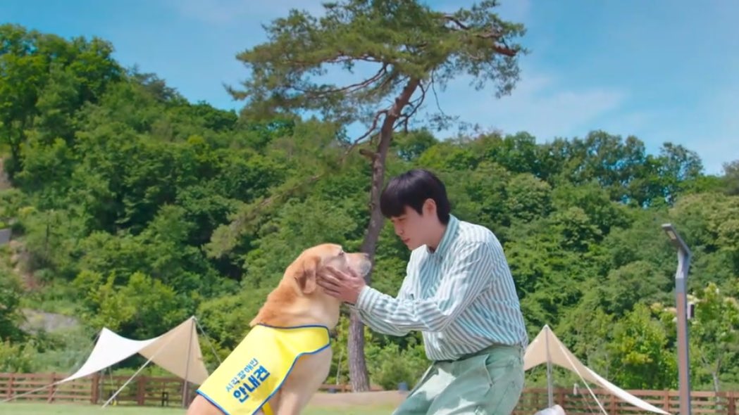 chwfilm's tweet photo. the scene of the puppies meeting their owners in paradise destroyed me 😭😭

#HeavenlyEverAfter #HeavenlyEverAfterEp2 https://t.co/mNIrnZYCVv