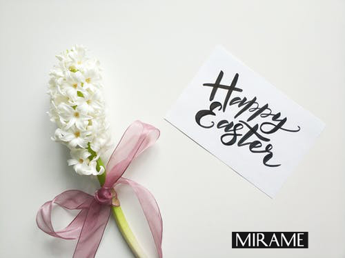 Mirameswim's tweet photo. Happy Easter https://t.co/az4WxZ1Y5X
