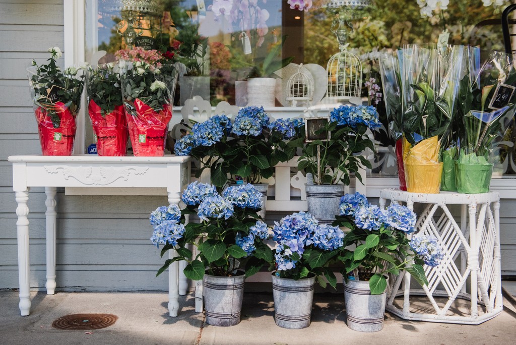 From all of us at Boffo we're wishing you health and happiness and time with your loved ones this Easter Weekend.