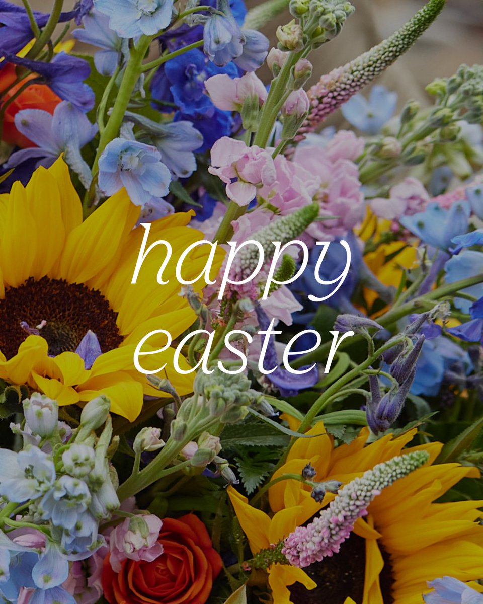 proflowers tweet media