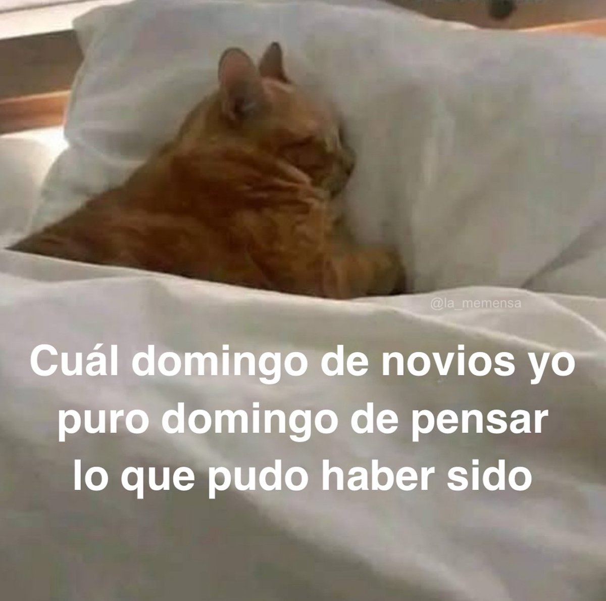 Guarromantico_'s tweet photo. Cual domingo? https://t.co/C6jDzj2xXD