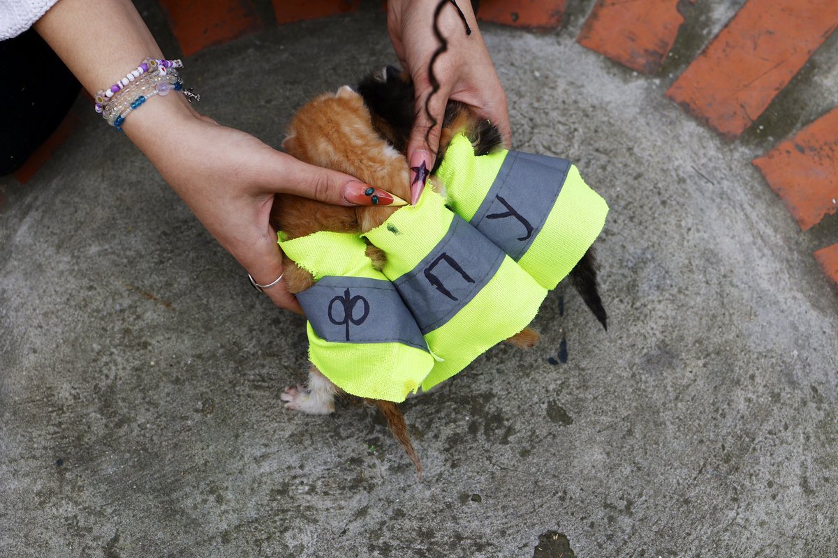 blokada_fpu's tweet photo. Pitali ste se ko vodi studentske blokade? Upoznajte pukovnika Pedju, majora Fiću i generala Umbru 🫡 🥰 https://t.co/611HvCIoyF