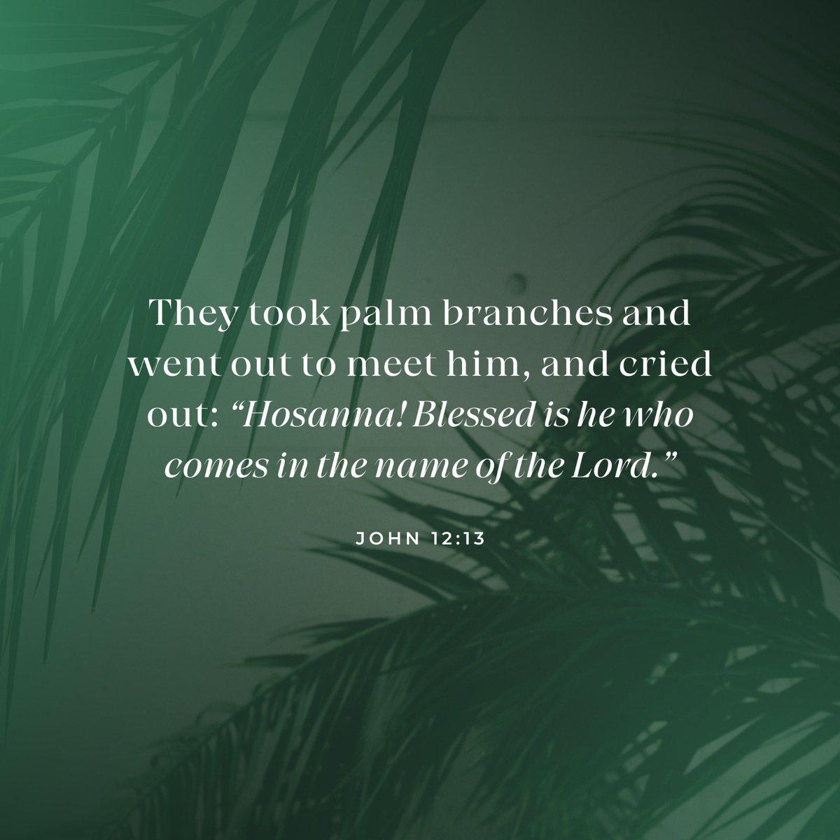 monica4congress's tweet photo. Wishing you and your families a blessed Palm Sunday! 🙏🏼 

¡Que tengan un Domingo de Ramos lleno de paz y esperanza junto a sus familias! ✝️ https://t.co/F1WqKq4k5Y