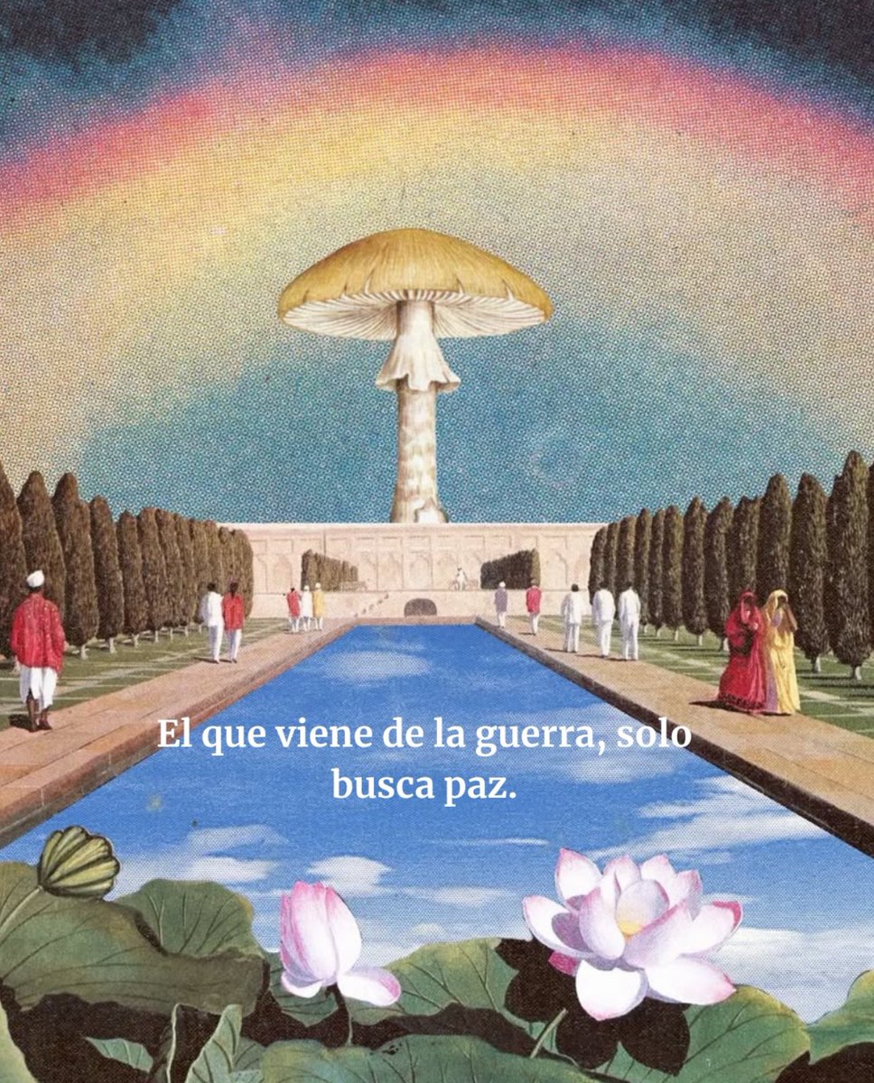 Feellg2's tweet image. 