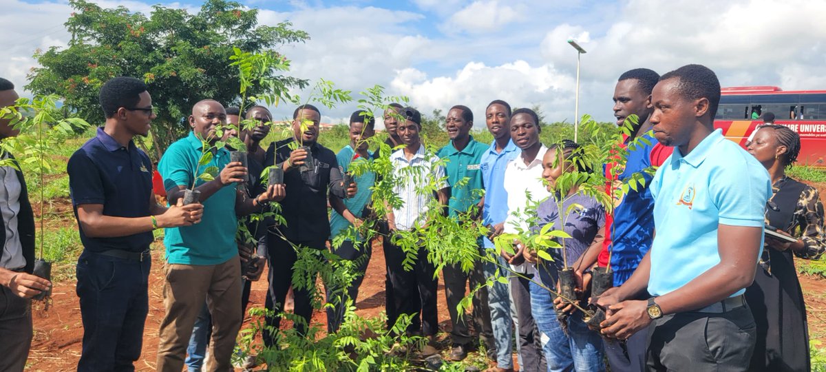 theFOATZ's tweet photo. Maekeni-Mzumbe University Tengefu Area Tree Planting Event
On March 27, 2025, FOATZ took part in a tree-planting exercise for Mzumbe University, Maekeni. In this area: 718 trees out of about 3,000 were planted.

https://t.co/ycewdoLxsW https://t.co/Anw5by6oUm