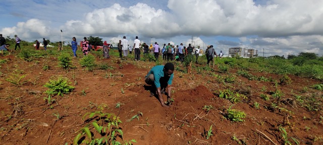 theFOATZ's tweet photo. Maekeni-Mzumbe University Tengefu Area Tree Planting Event
On March 27, 2025, FOATZ took part in a tree-planting exercise for Mzumbe University, Maekeni. In this area: 718 trees out of about 3,000 were planted.

https://t.co/ycewdoLxsW https://t.co/Anw5by6oUm