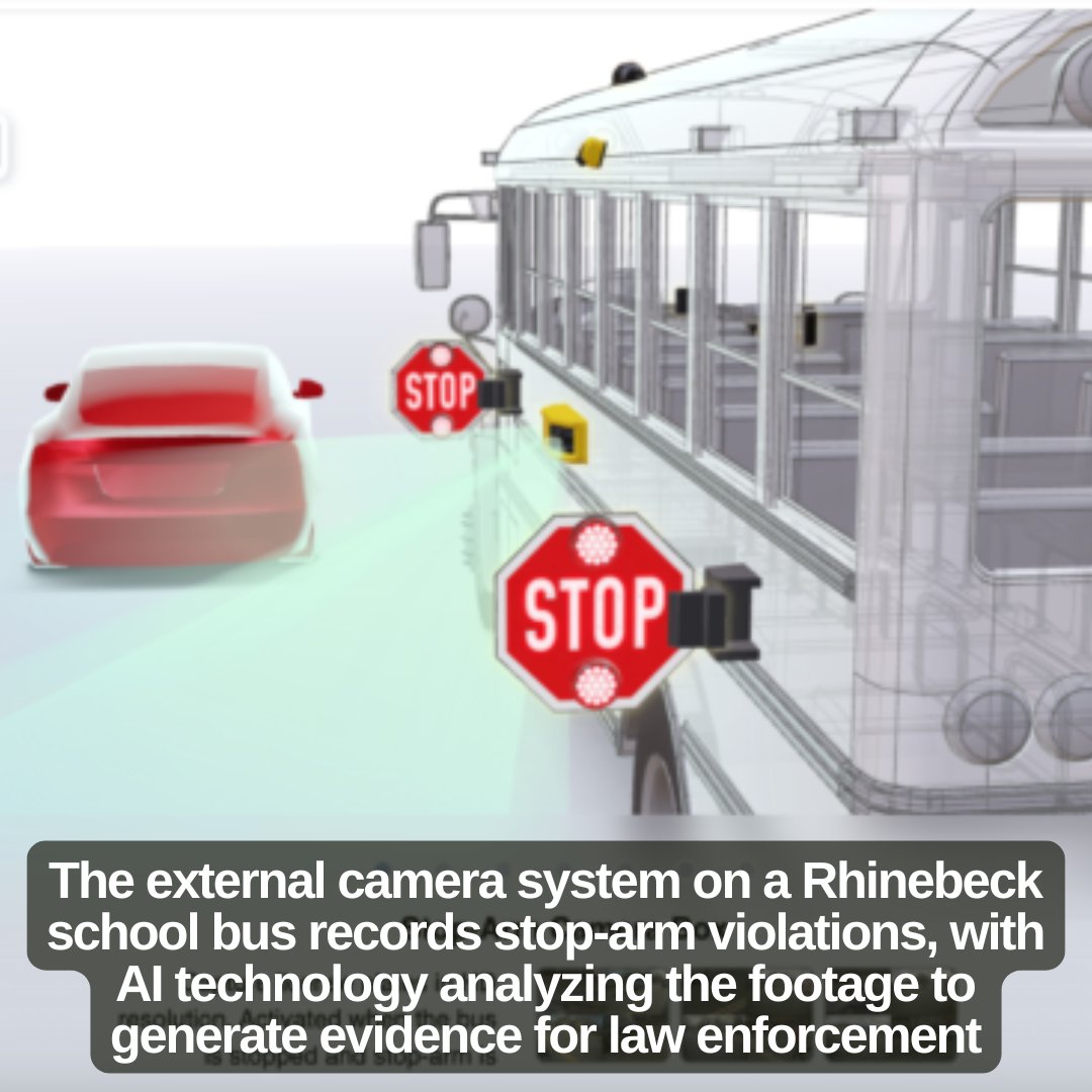 The Daily Catch tweet media