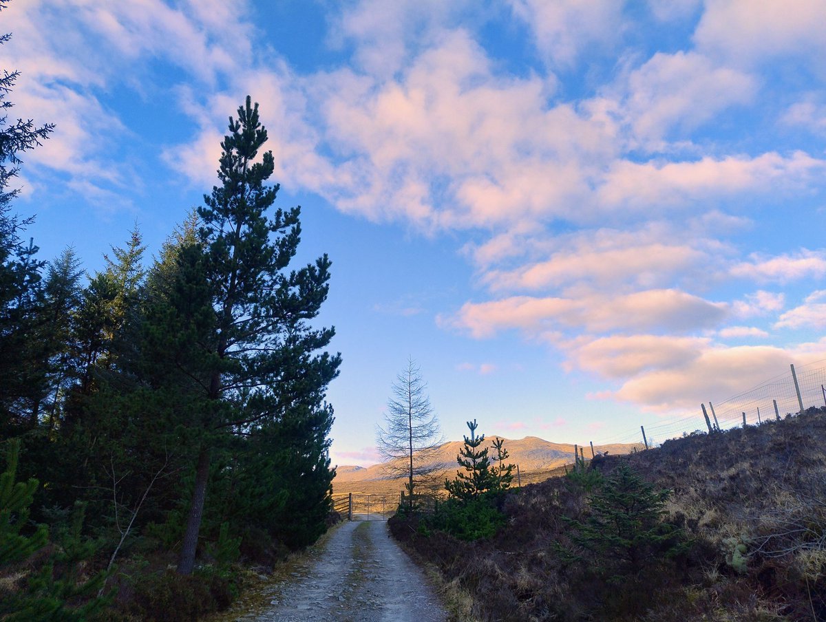 SimplyPaul's tweet image. Editing a new #AdventureLab #AdLab at #Inverie / #Knoydart ahead of the first brave soul to head out to get it. Picking suitable photos was especially fun. Yes, it&apos;s an odd way to spend my time, but I&apos;m hiding from the rain in Milton Keynes and it&apos;s bringing good memories back 😎