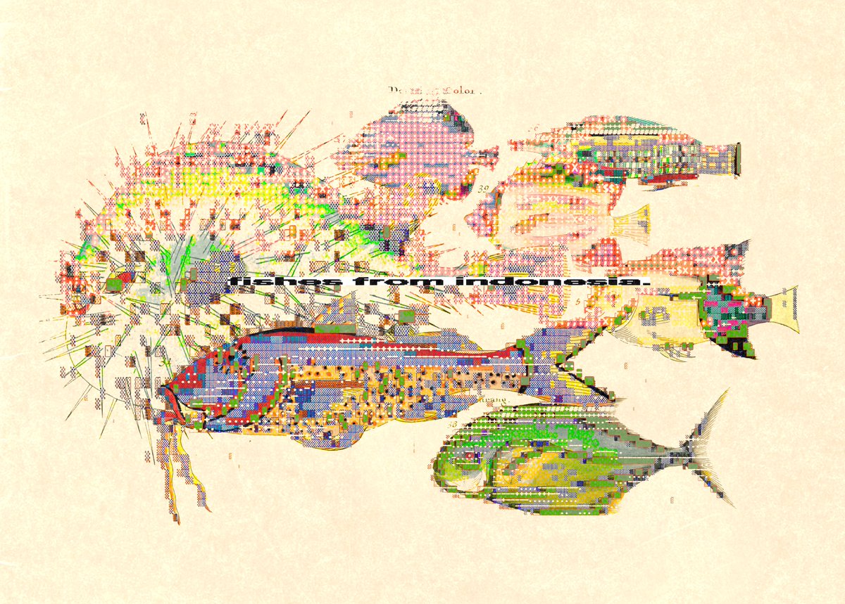 process for "fishes from indonesia."