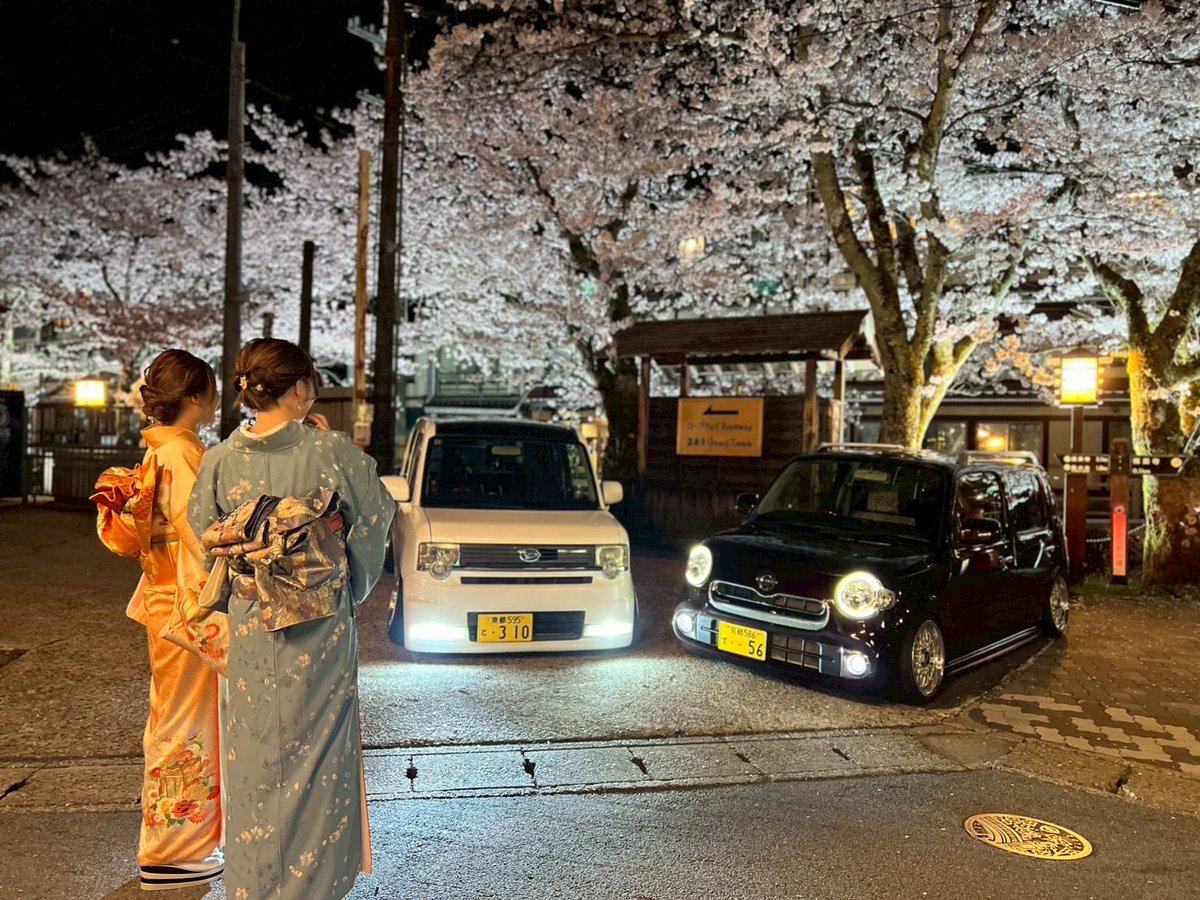 iyada_shiitake's tweet photo. 着物でお花見🌸 https://t.co/V6n7cxF8uE