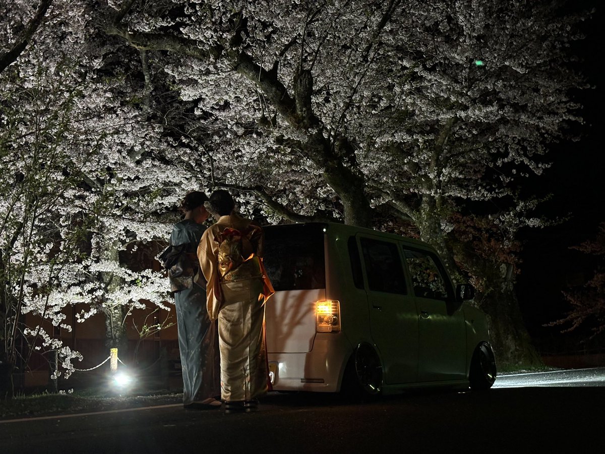 iyada_shiitake's tweet photo. 着物でお花見🌸 https://t.co/V6n7cxF8uE