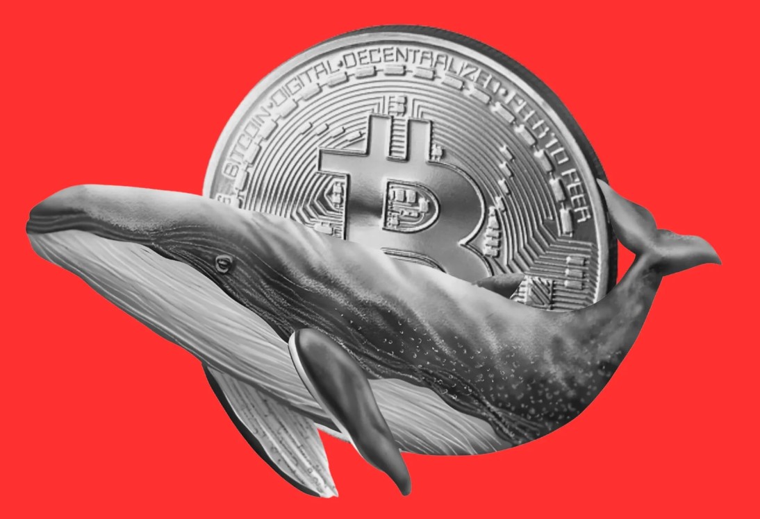 BITCOIN WHALE GOES AGGRESSIVELY LONG WITH 40X LEVERAGE, STACKS OVER $6M IN  PROFITS A high-stakes crypto whale has captured attention after executing a  bold trading strategy involving 40x leverage on Hyperliquid, going