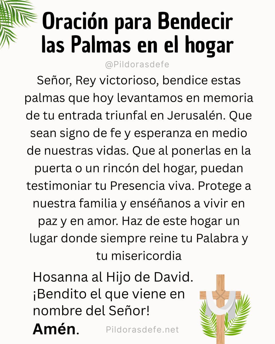 Oración para Bendecir las Palmas en el hogar...
🙏