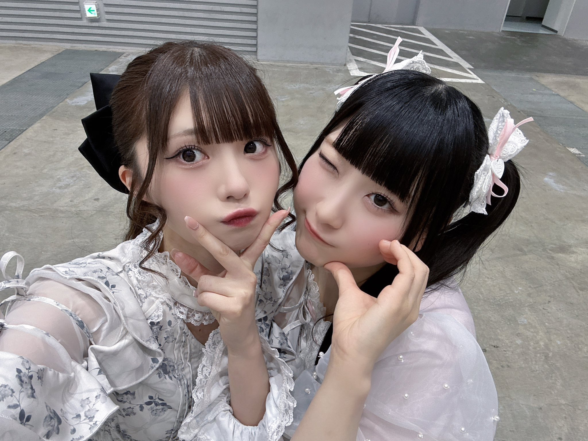 わんこっち　菅波美玲 菅波 美玲 on X: 