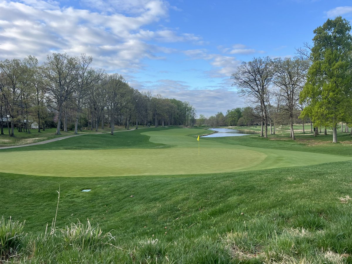 Daniel Venditti tweet media