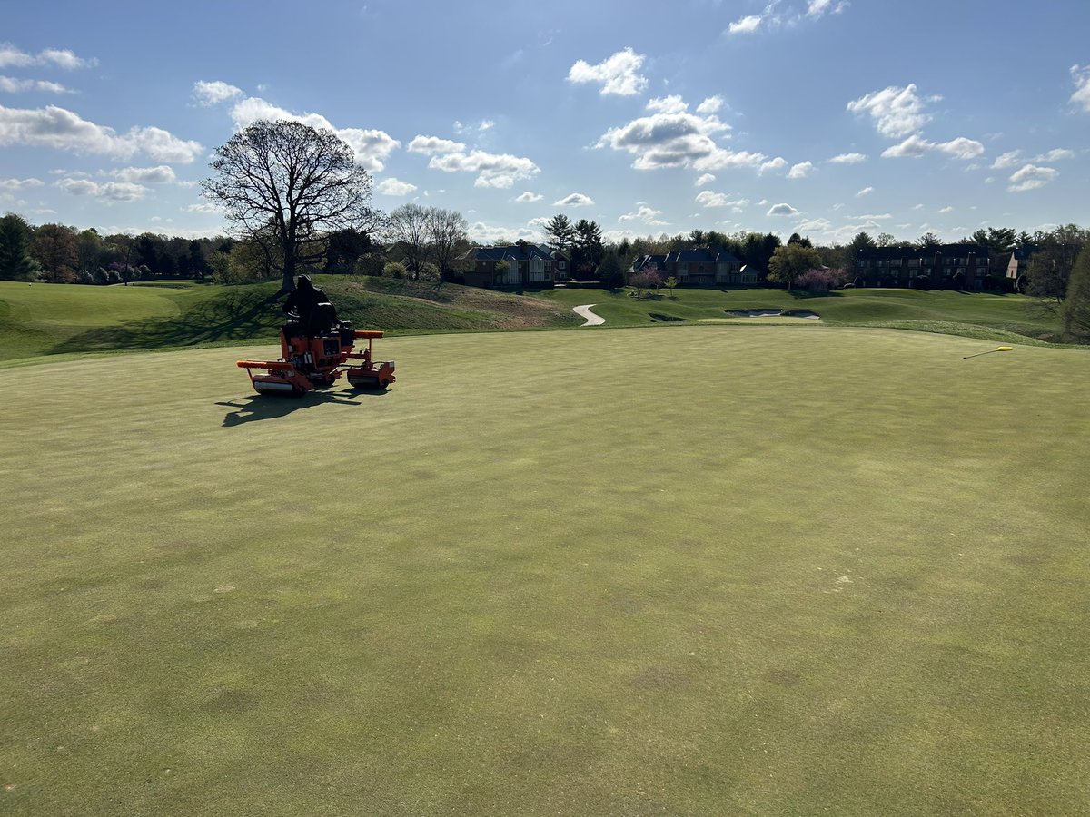 Daniel Venditti tweet media