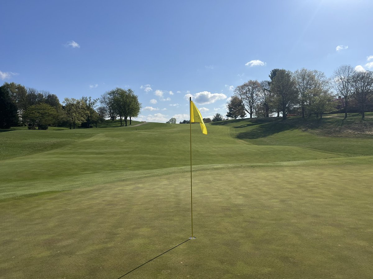 Daniel Venditti tweet media