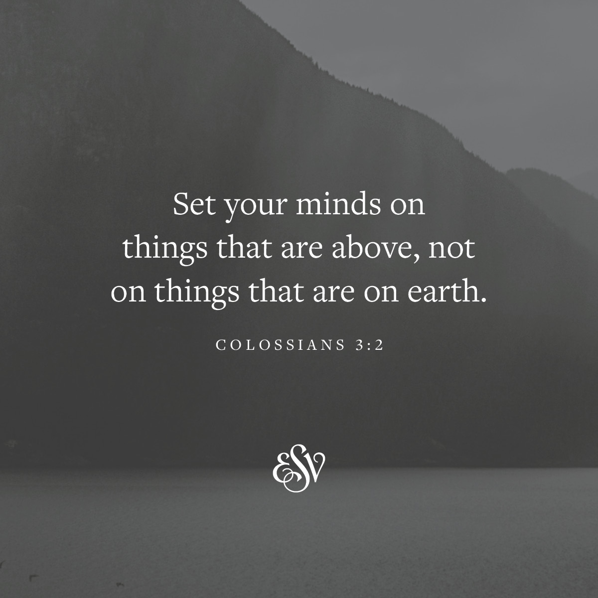 Crossway tweet media