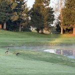 Photo by Jeremy Payne (@Jspturf)