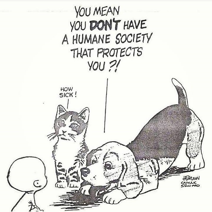 LifeNewsHQ's tweet photo. If only society cared about unborn babies as much as pets. https://t.co/jMiSbBSuvy