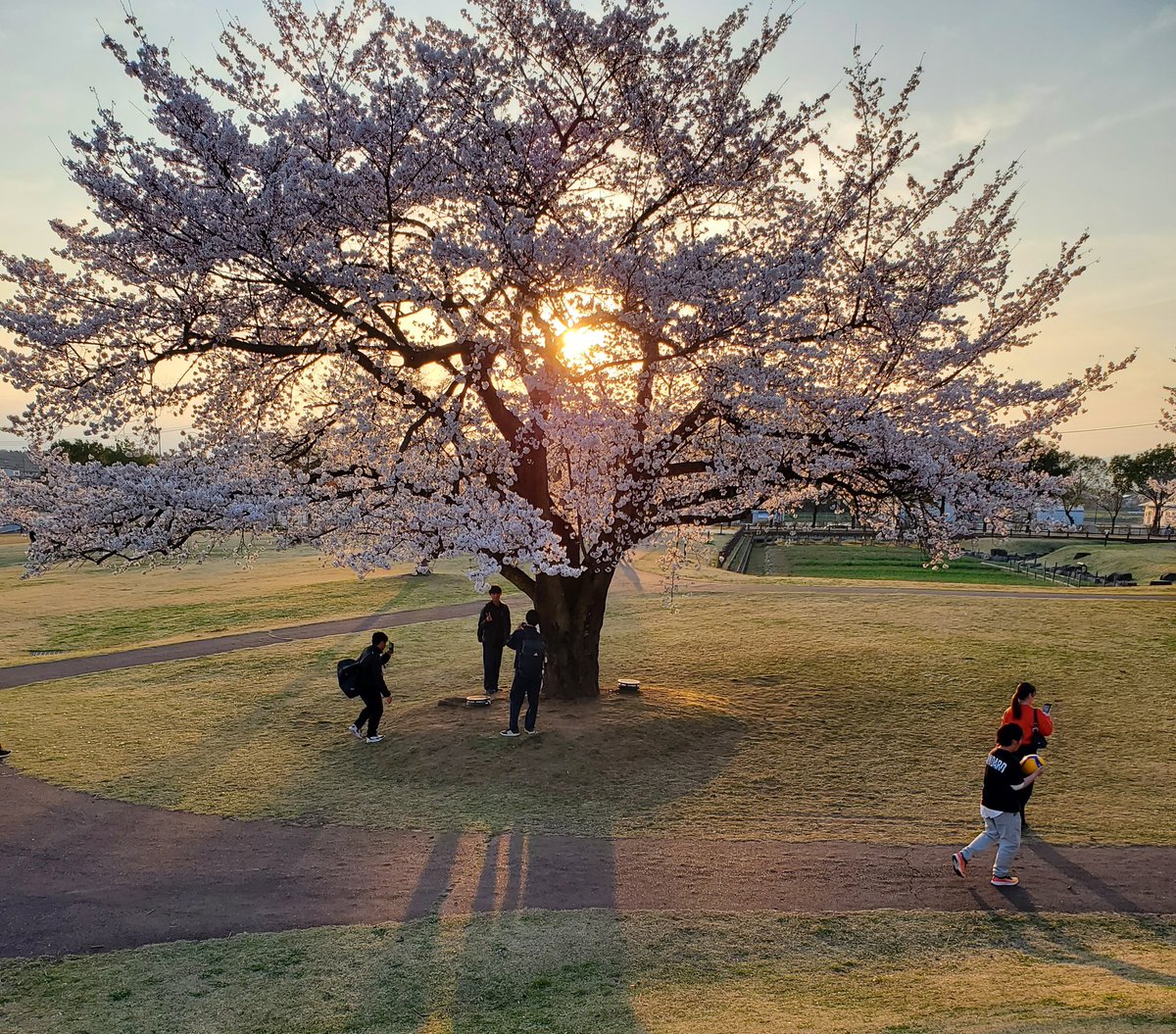 makibach's tweet photo. #受難週　#聖餐式　#賛美　#十字架のくぎ　#花曇り　#鏡石町　#桜満開　#岩瀬牧場　#鳥見山　#昨日の夕日　#復活　#イースター　#永遠の命　来週の日曜日20日はイエス様が復活された復活祭、イースターです。十字架による罪の赦し。復活による永遠の命と希望を共に祝いましょう https://t.co/dnLH7LI5LI